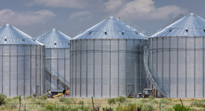 How to plan for lower farm net income in 2016